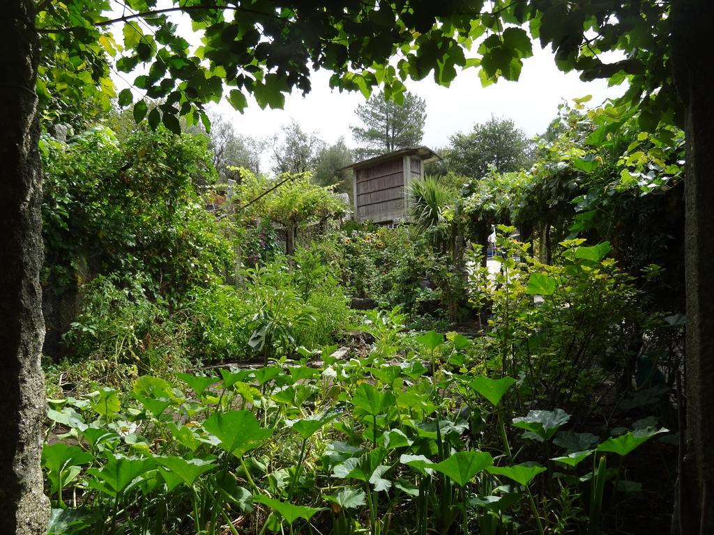 Quinta Das Delicias Sao Tiaguinho ภายนอก รูปภาพ
